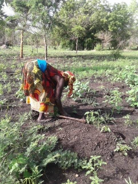 Projet PAAF Baay Dunde